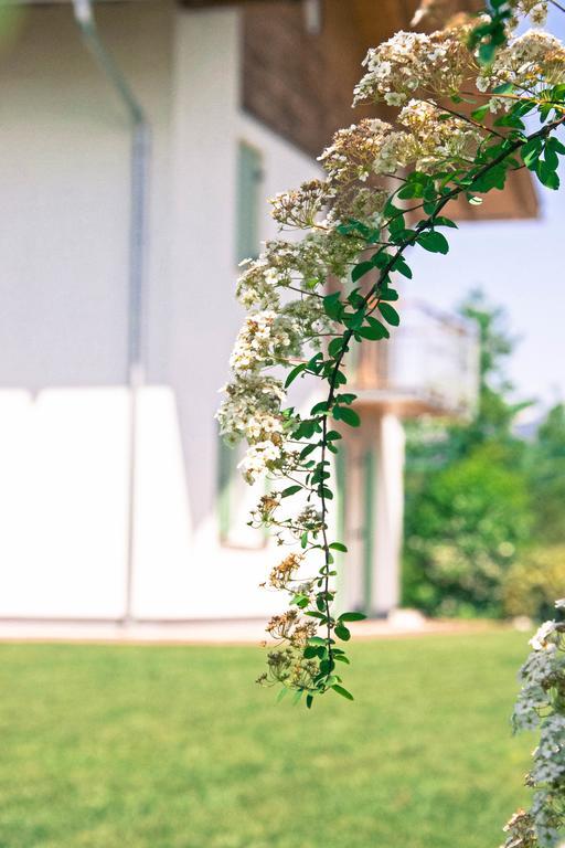 Agriturismo Locanda De L'Arguta Тренто Экстерьер фото